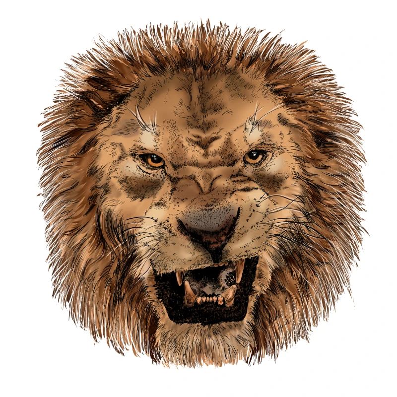 Impression majestueuse tête de lion
