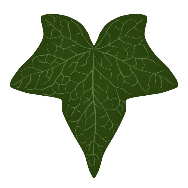 Elegant Green Ivy Leaf Pattern