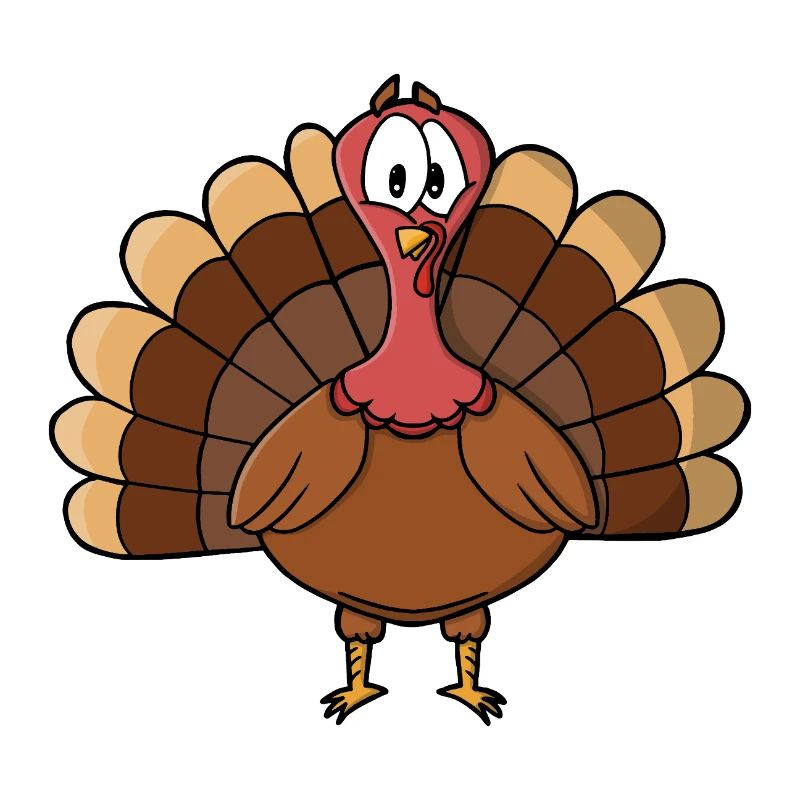Turkey with Wide Tail