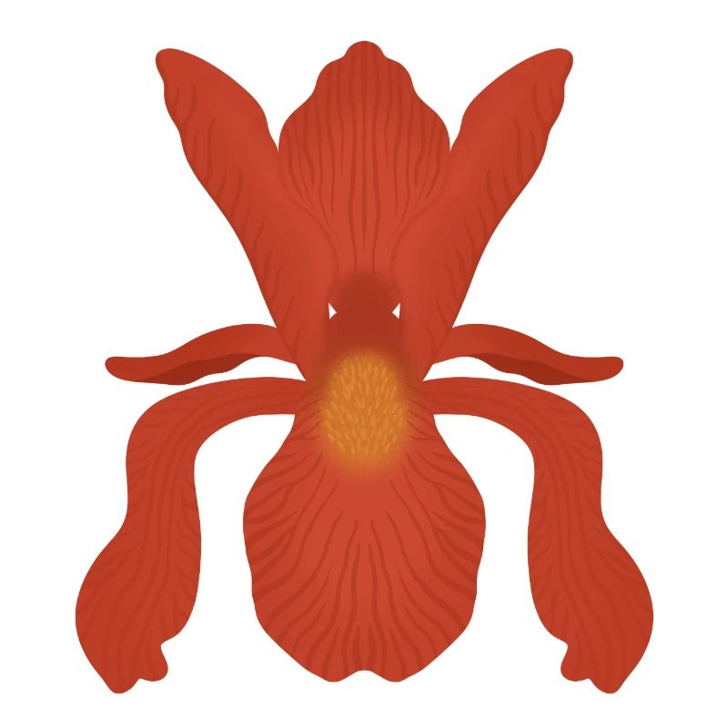 Crimson Iris Flame