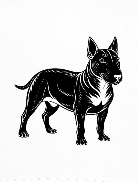 Bullterrier