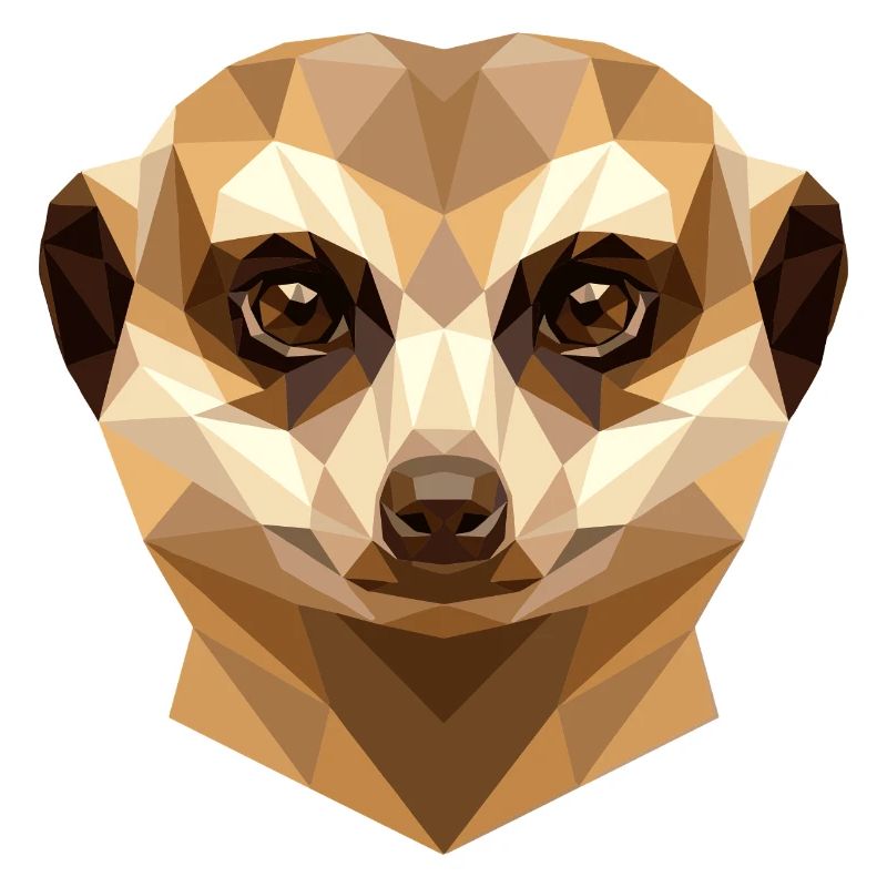 Suricate Suricate Douce Mangouste Suricate