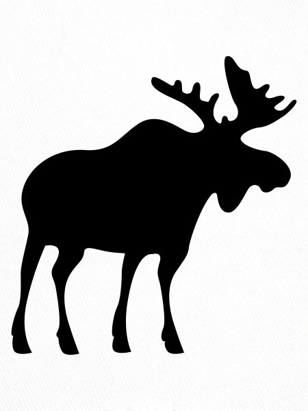 moose