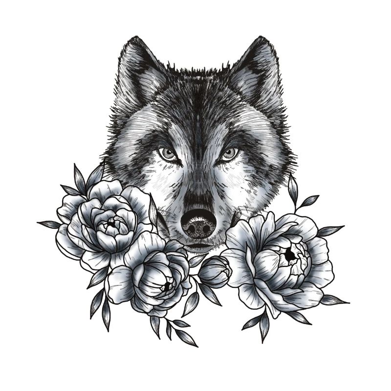 Wolf und Pfingstrosen