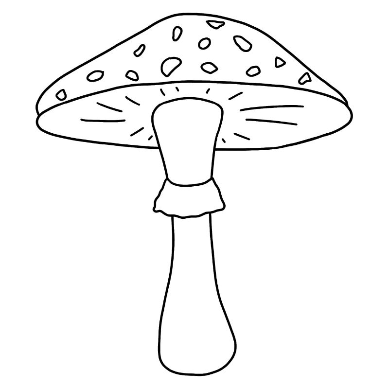 Champignon noir et blanc