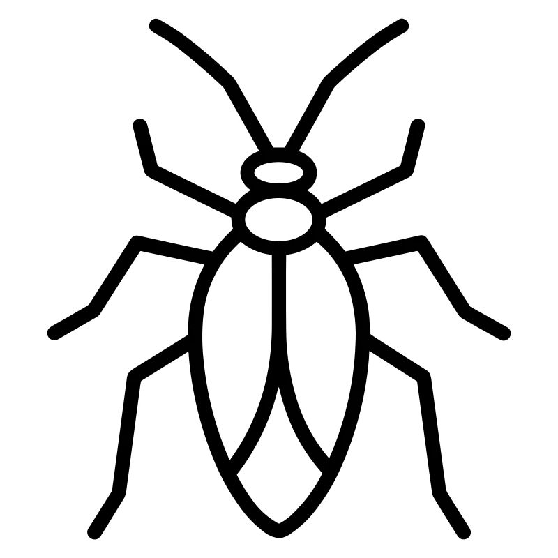 Aphid