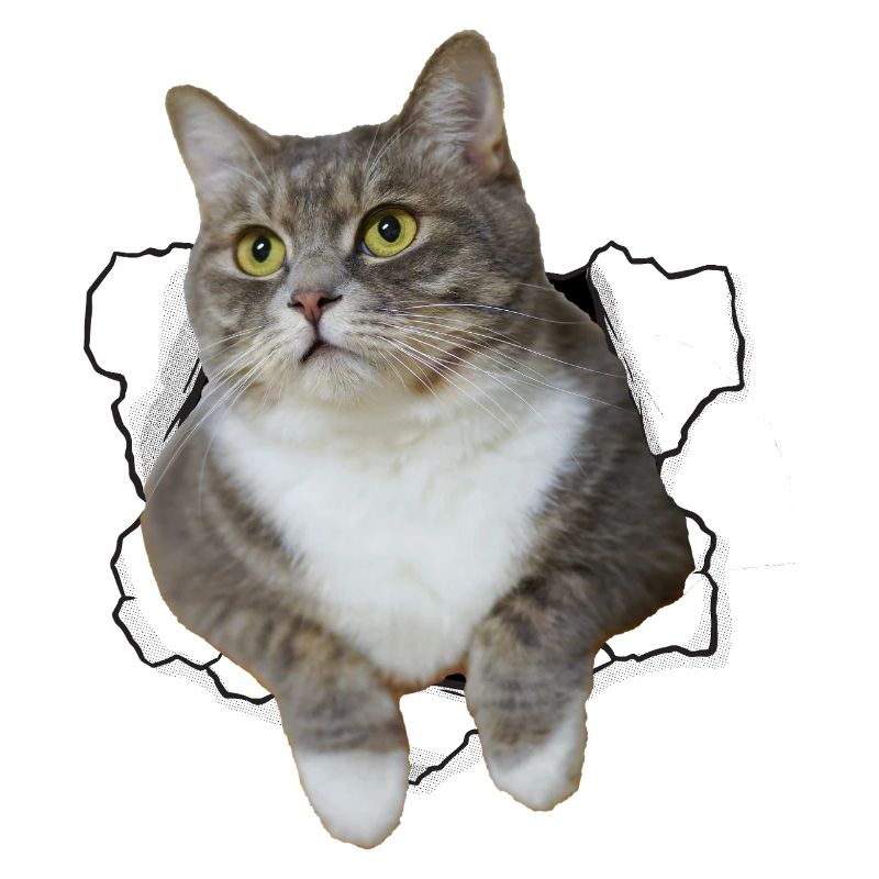 Chat mignon qui sort du trou - Dessin drôle de chat