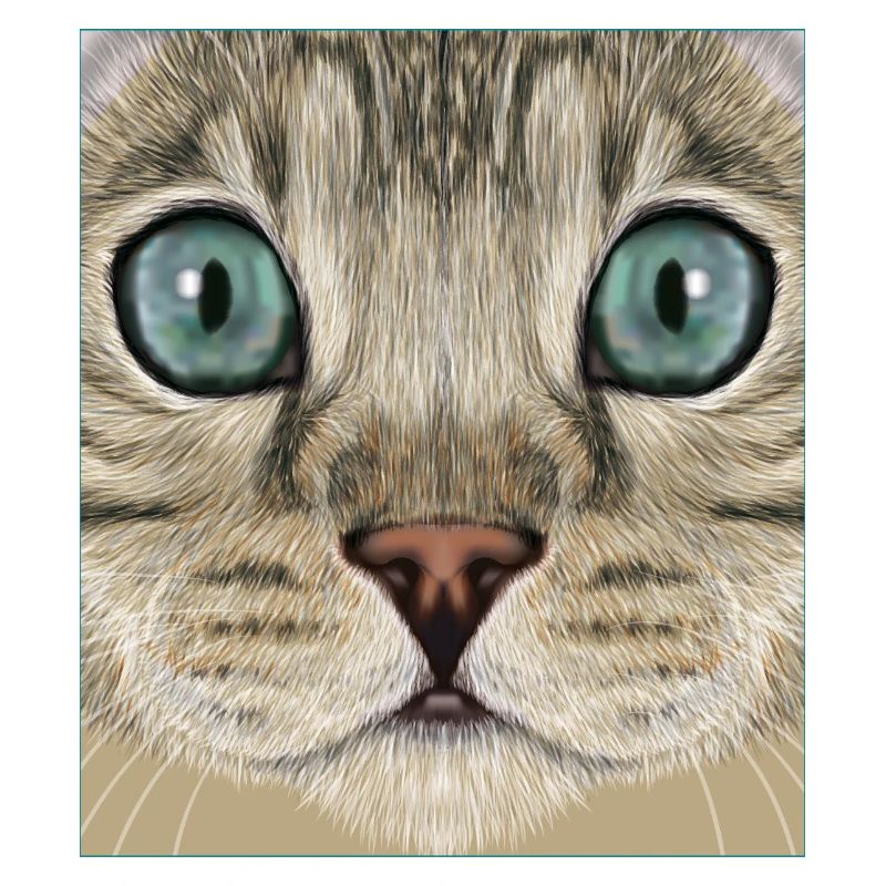 leopard cat