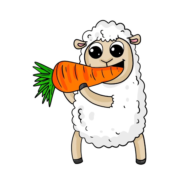 Sheep eats carrot