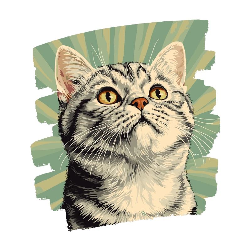 Britisch Kurzhaar Katze Retro