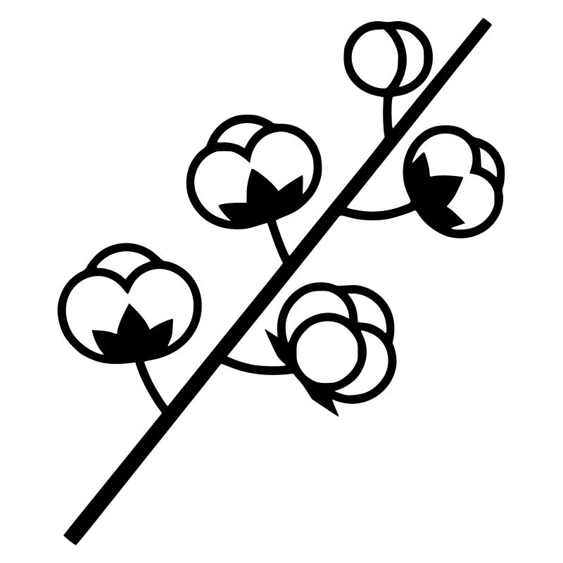 Baumwolle Pflanze Zweig