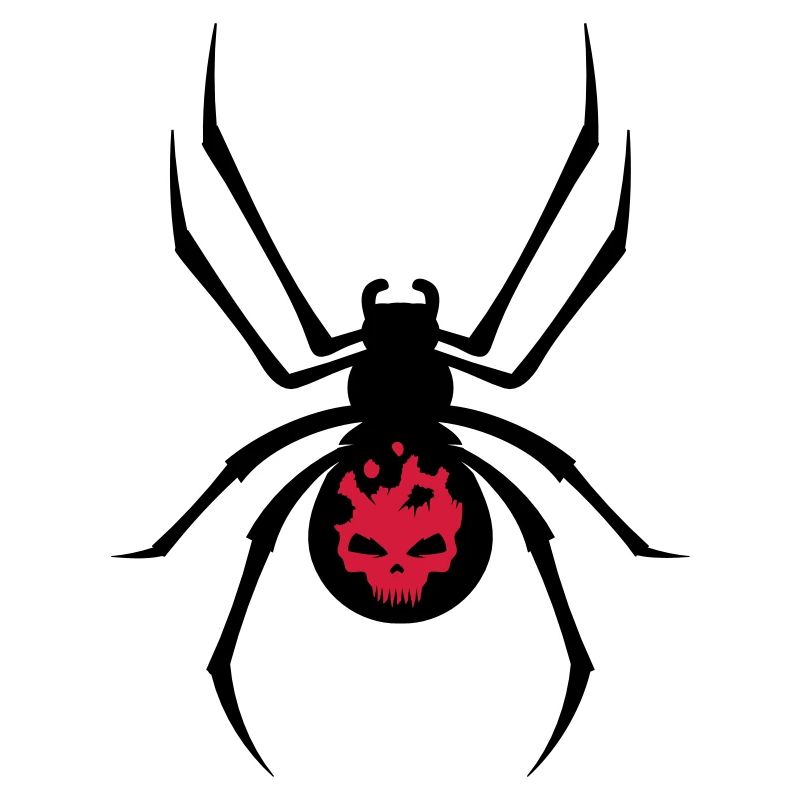 A black spider with red skull