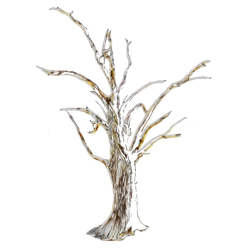 Baum