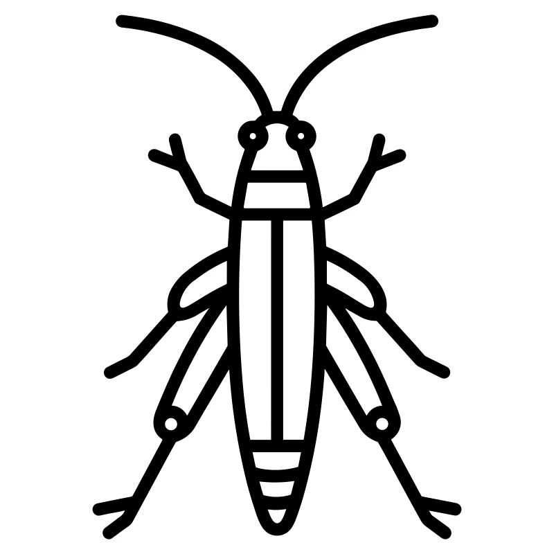 grasshopper