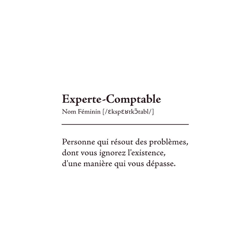 Experte Comptable Definition
