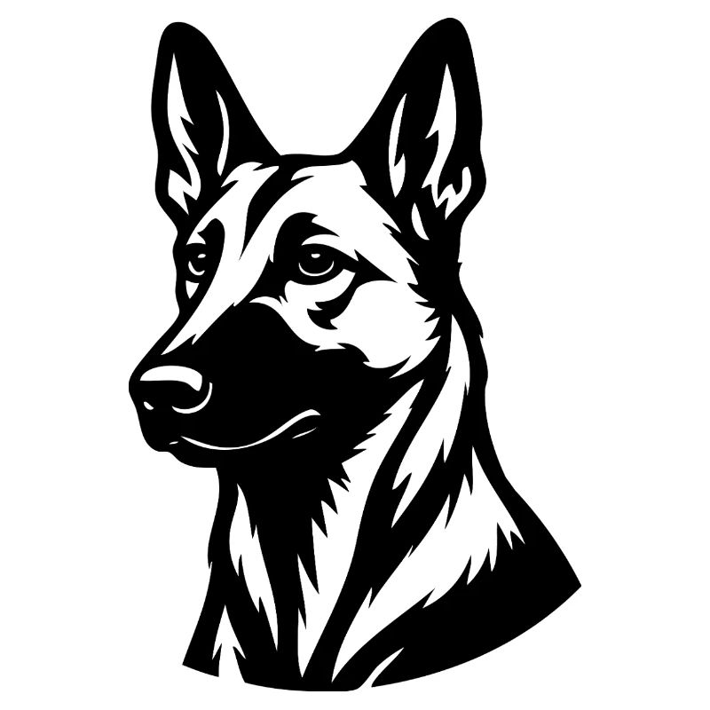 Malinois