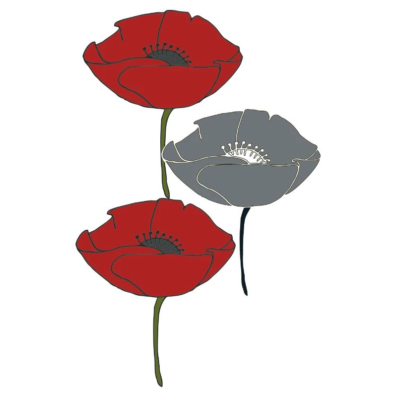 mohnblumen und grau