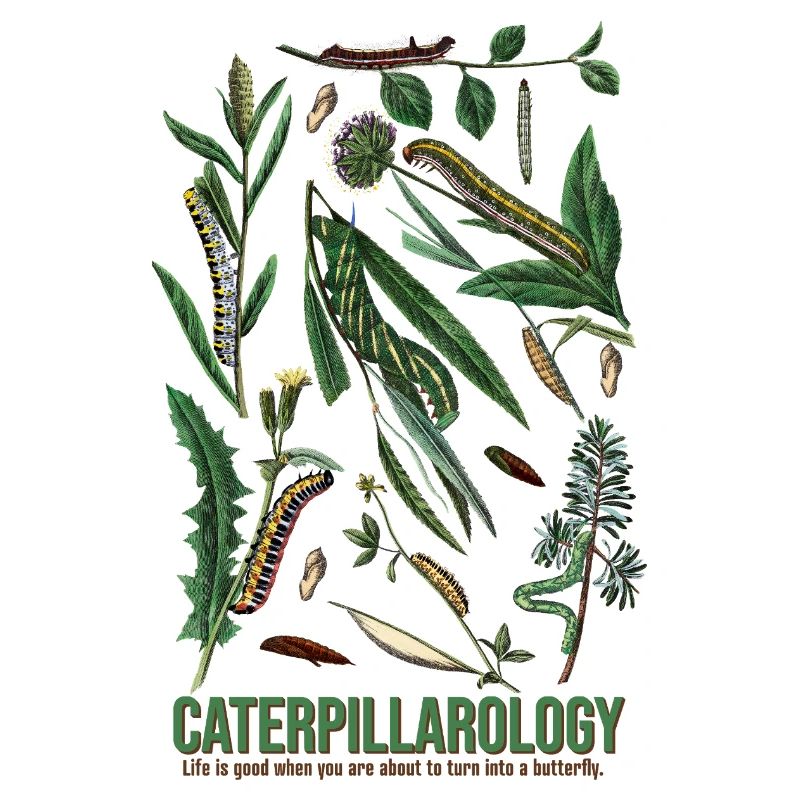 Caterpillarology Nature Study