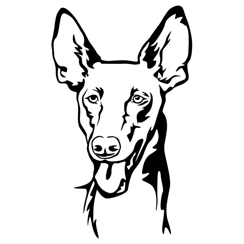 Pharaoh dog (Kelb-tal Fenek) head