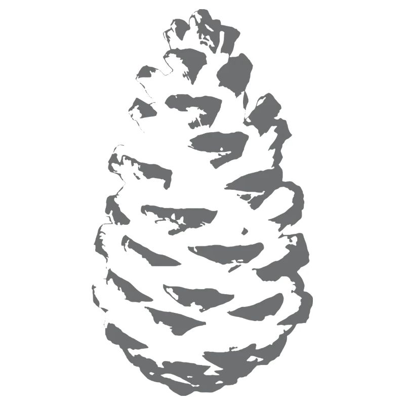 Spruce cone silhouette in shade grey