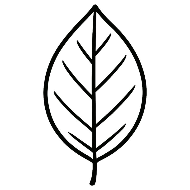 Conception minimaliste Leaf
