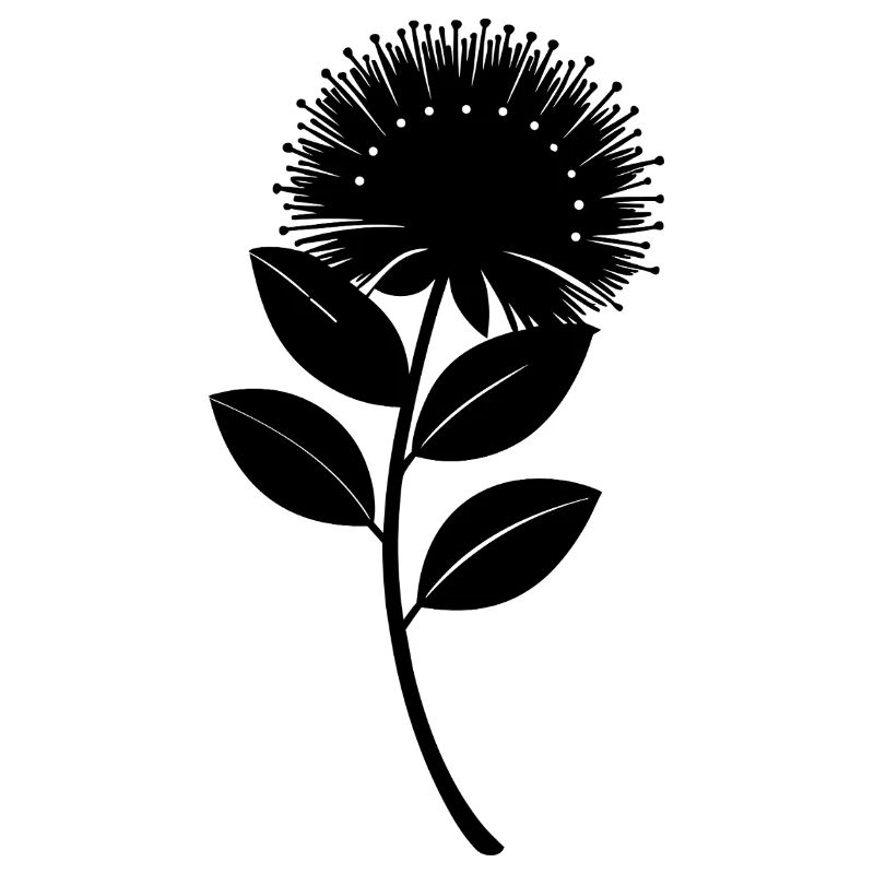 Pohutukawa-Blume