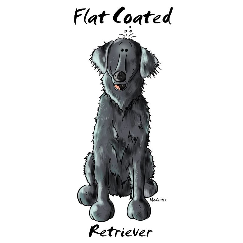 Funny Flat Coated Retriever