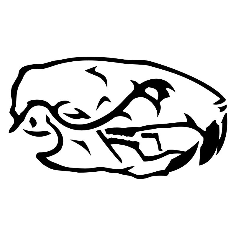 Ratten Skull Schädel