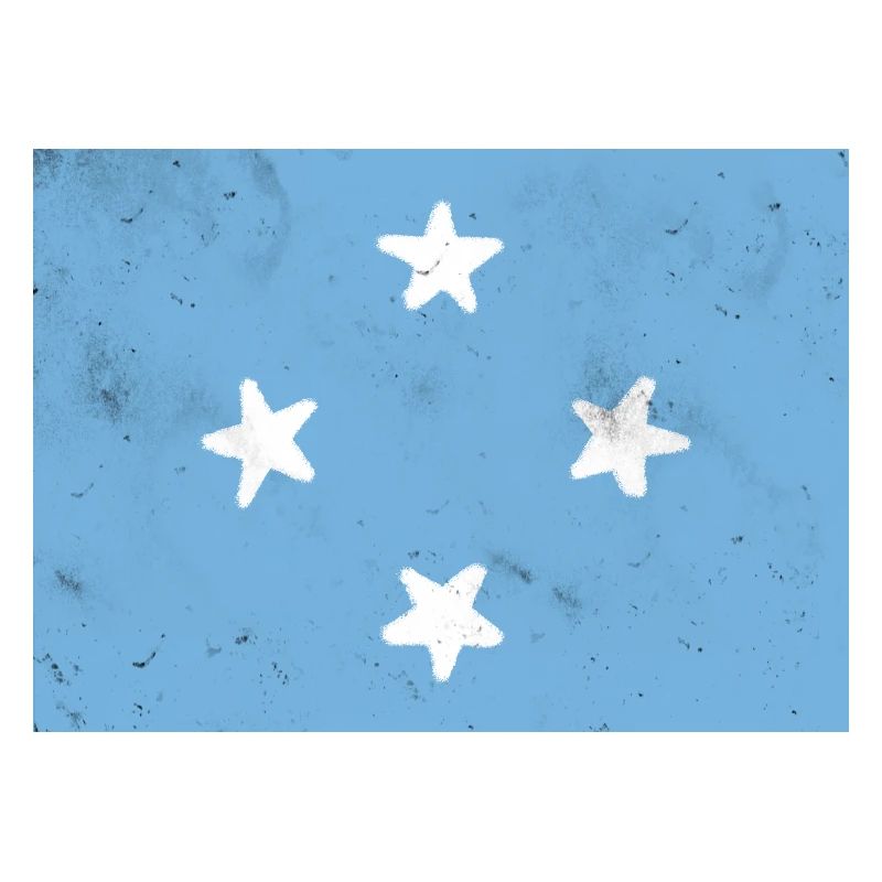 Drapeau de la Micronésie