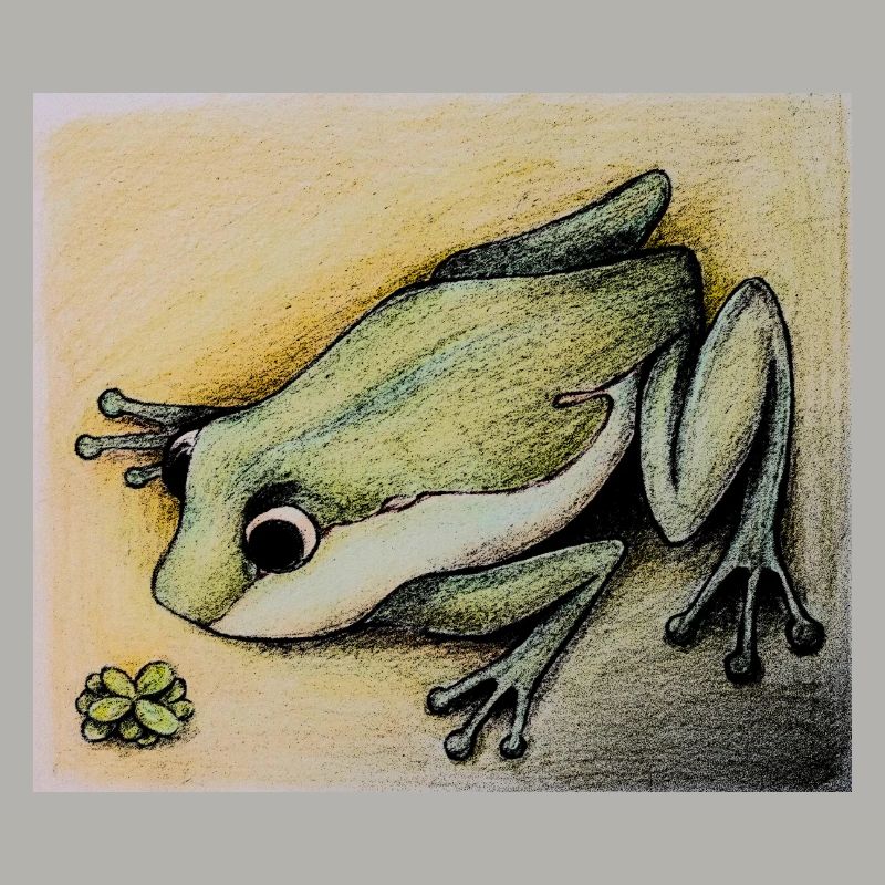 frog