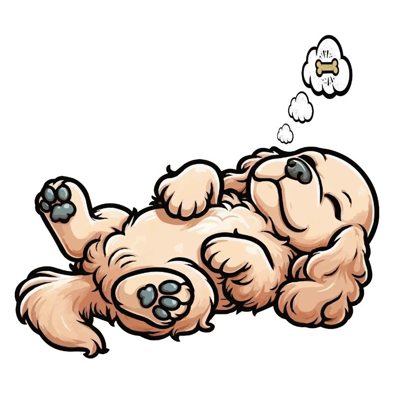 Cocker Spaniel Cockerhund Cocker Spaniel Besitzer