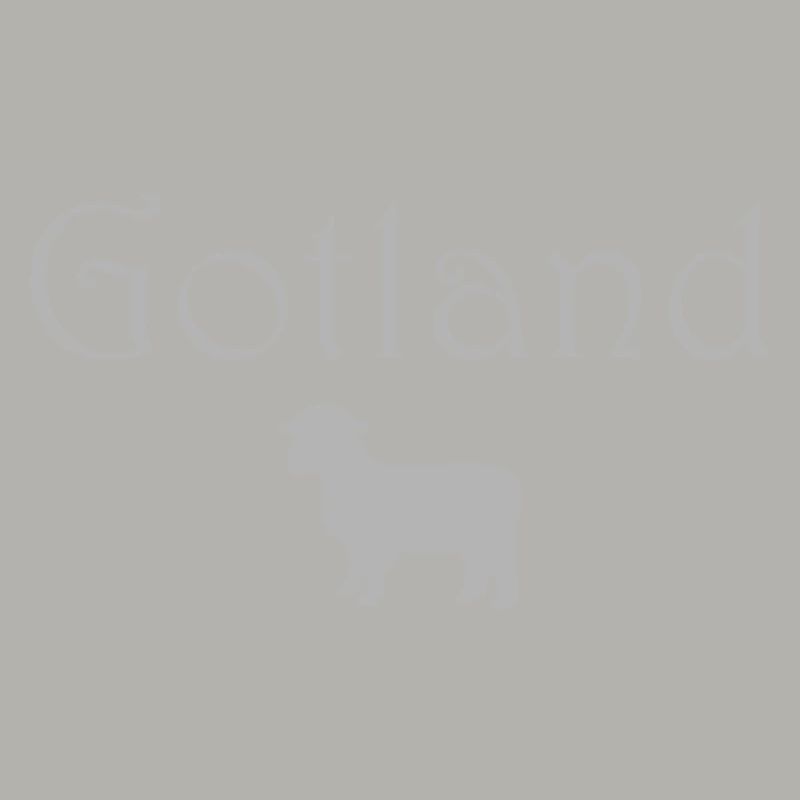 Moutons de Gotland