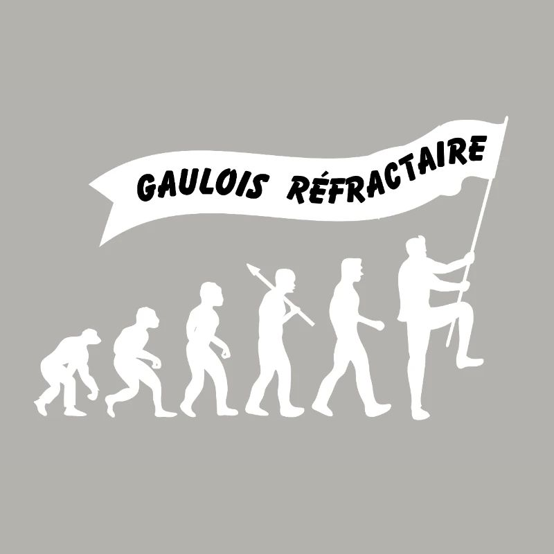 Evolution du gaulois réfractaire