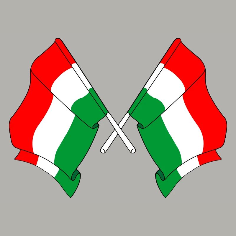 Zwei Flaggen Ungarn