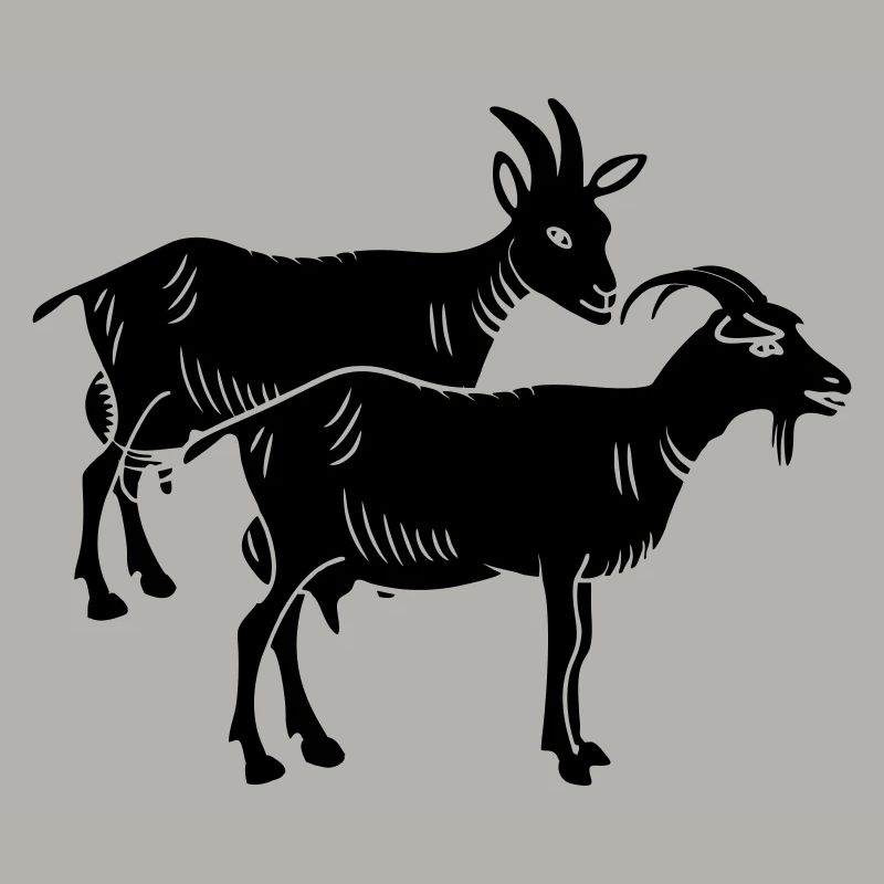 Image de deux ombres de chèvre