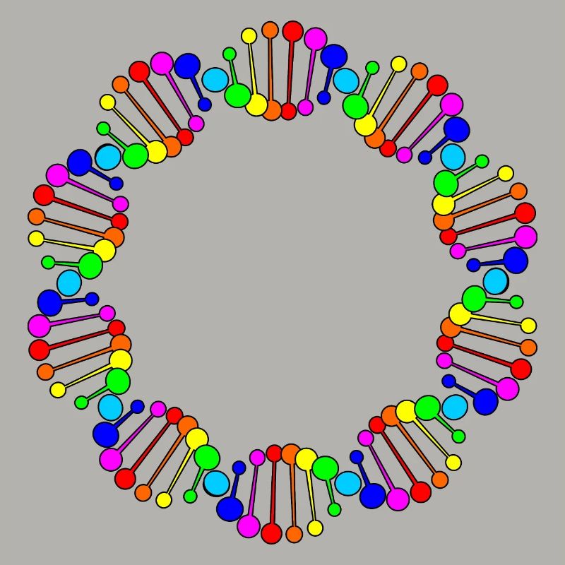 ADN ADN arc-en-ciel