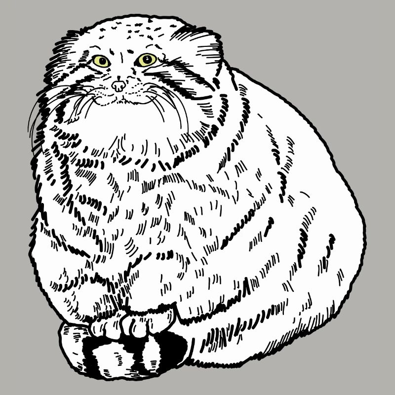 Dicke Katze