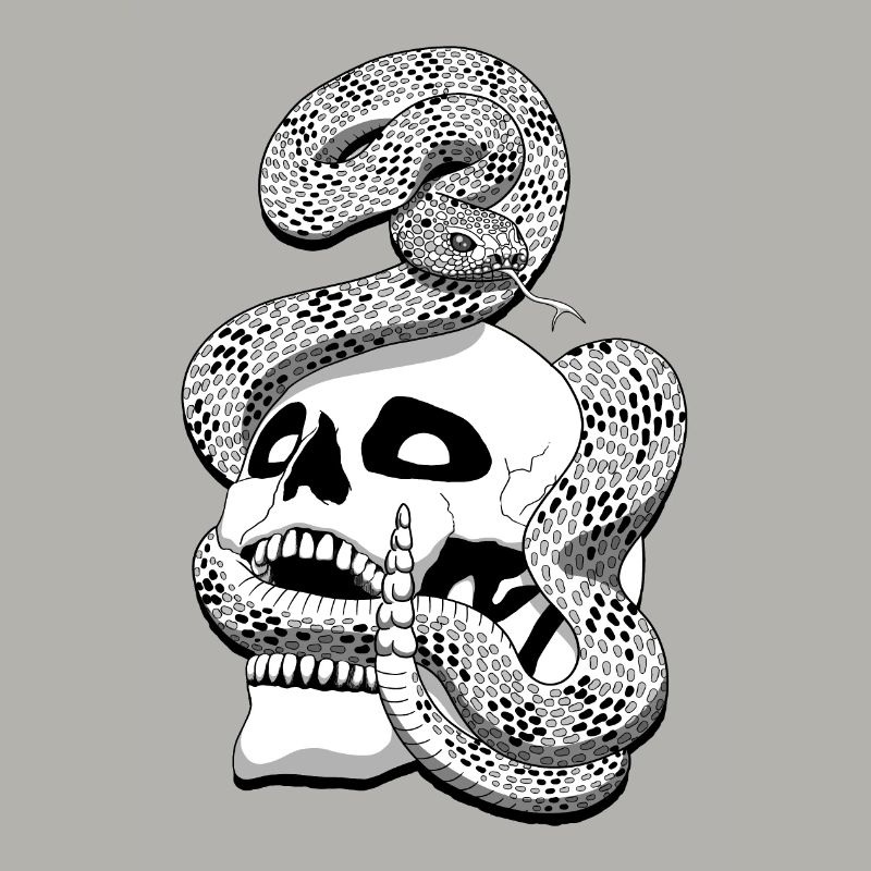 Serpent à sonnette et crâne