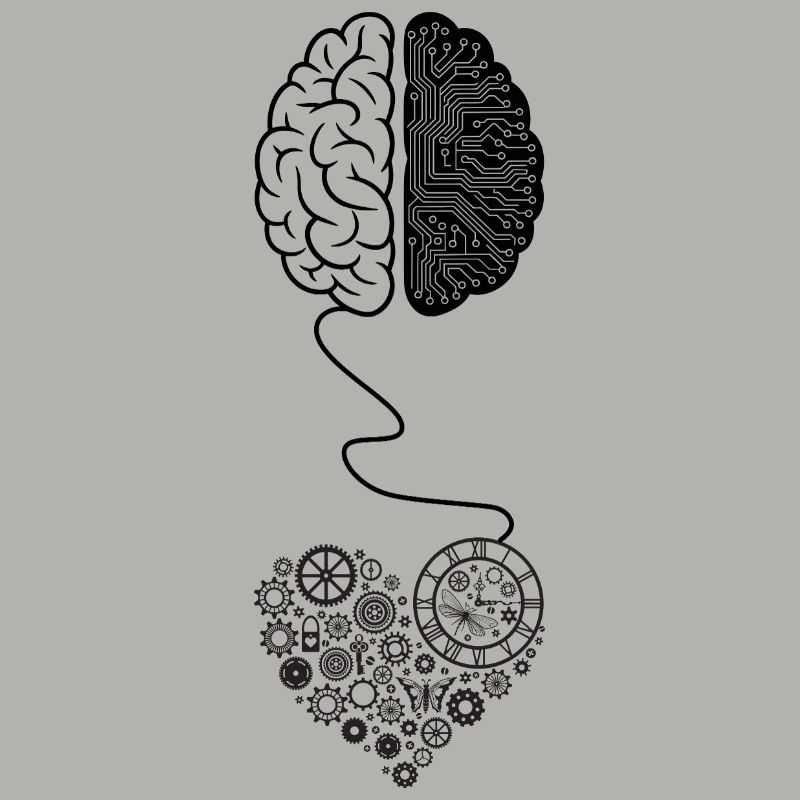 Biomechanical Brain Circuit Design