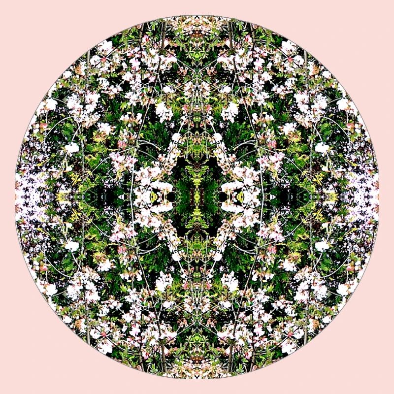 Source du Mandala de la Nature à Nuremberg