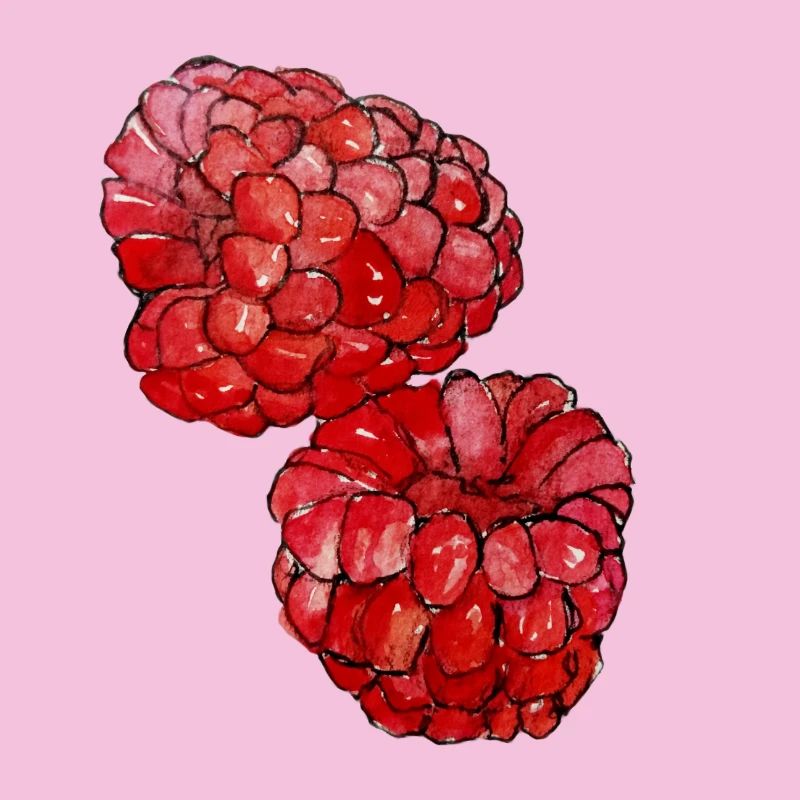 Himbeeren 