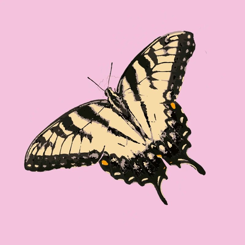 Illustration de papillon citron