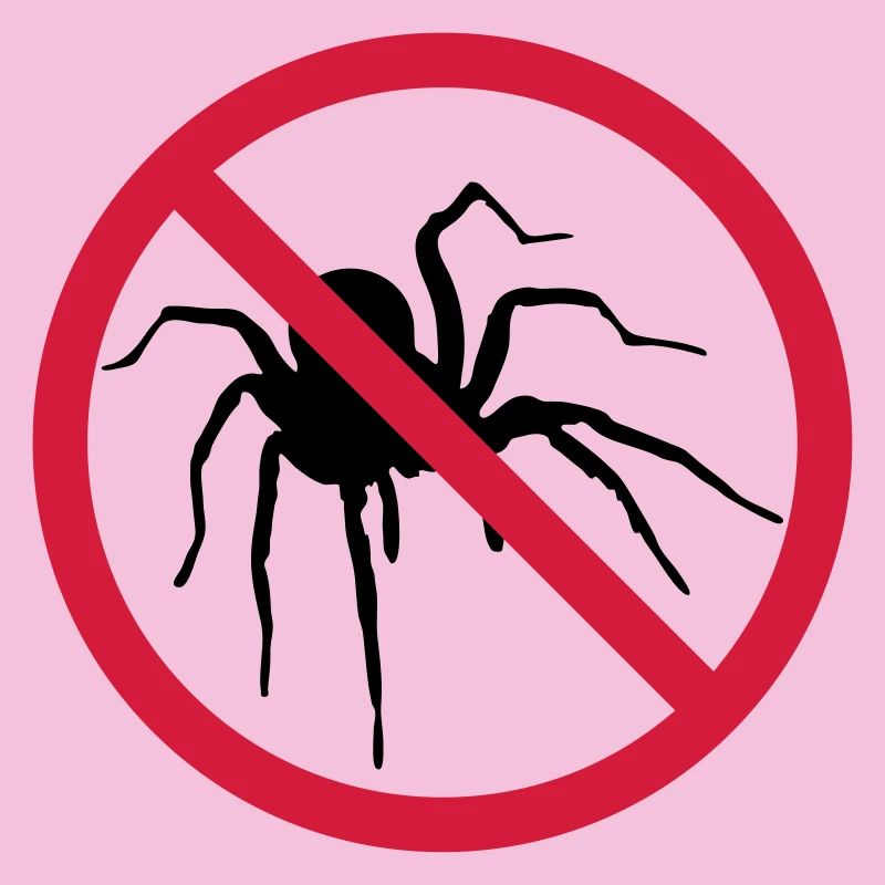 aucune araignée interdit bouclier conception araignée cl