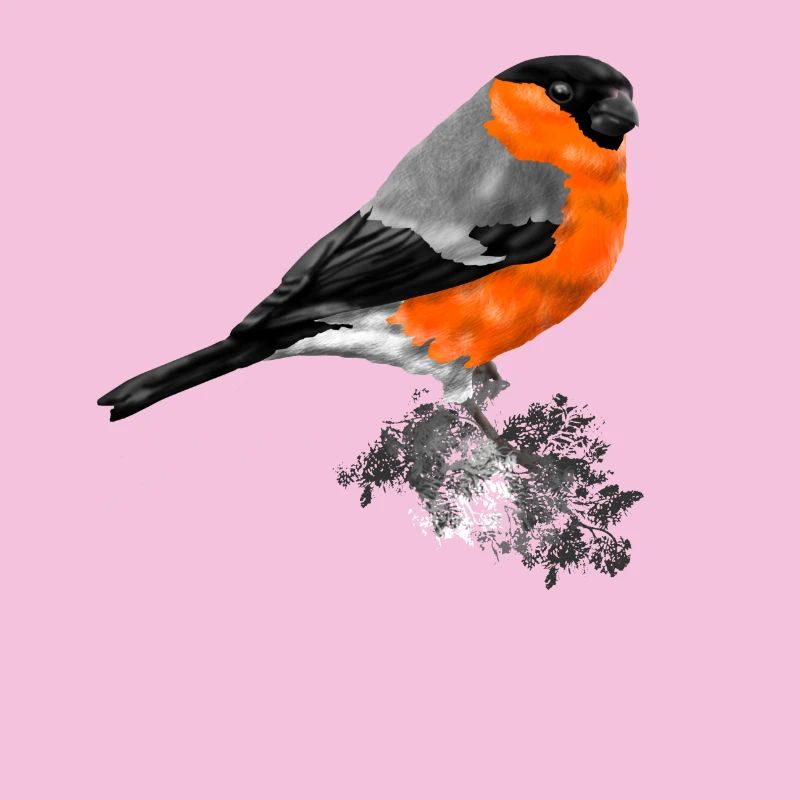bird