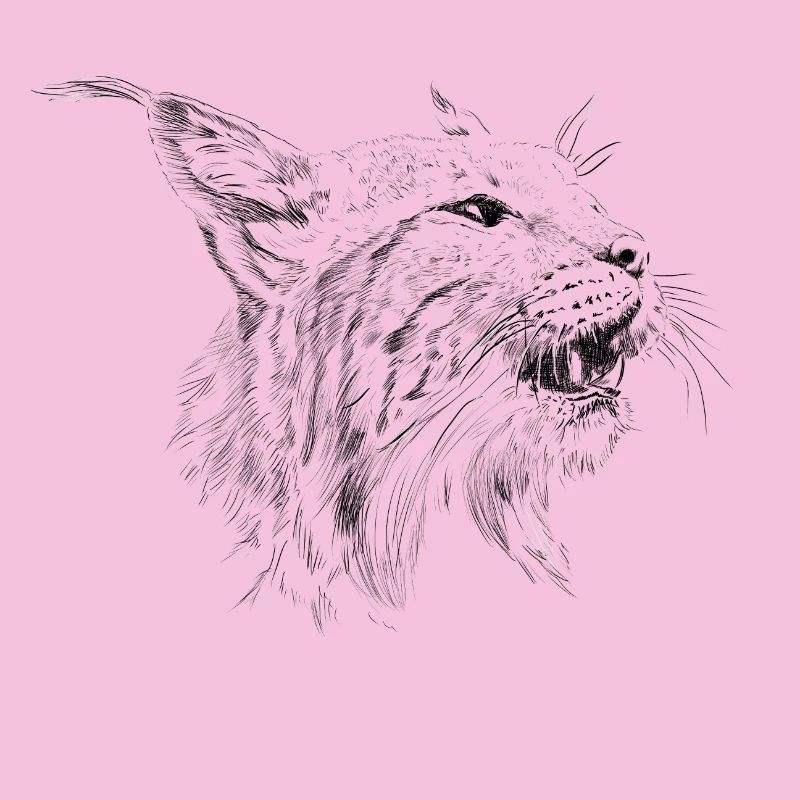Luchs