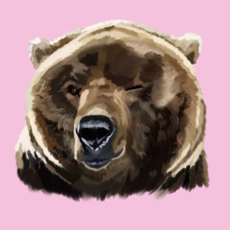 bear
