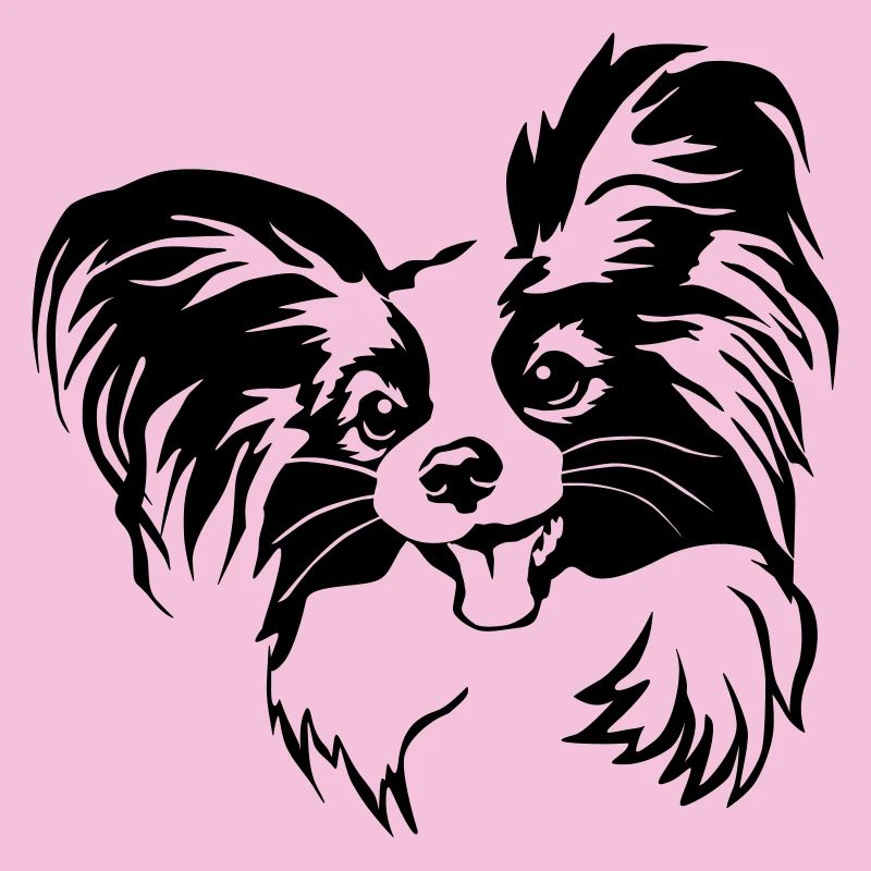 Papillon Kopf
