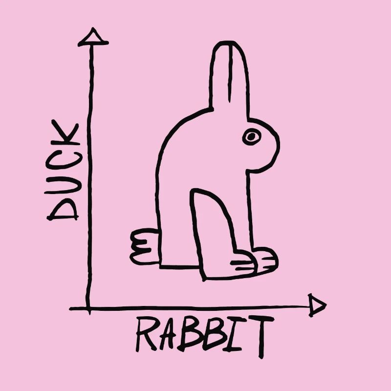 Duck or hare