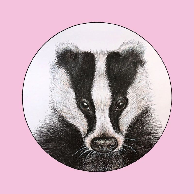 Dachs /Badger