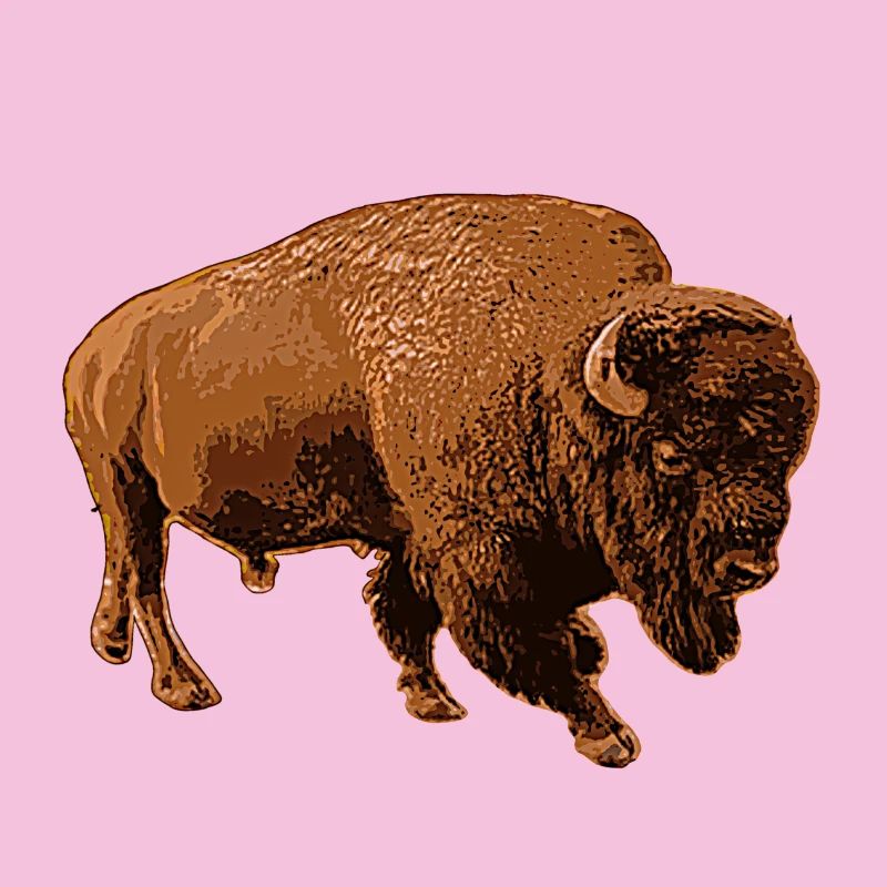 Bison
